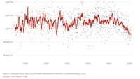 Mekarnya bunga sakura mulai bergerak ke awal April di tahun 1800-an. Tanggalnya hanya turun ke akhir Maret beberapa kali dalam sejarah yang tercatat.