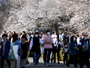 Berdasarkan Letak Lintangnya Jepang Beriklim Apa? Ini Penjelasannya