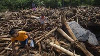 Gelondongan Kayu Menumpuk Sisa Banjir Bandang Di NTT