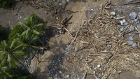 Seperti diketahui, bencana alam terjadi di sejumlah wilayah di Nusa Tenggara Timur (NTT).