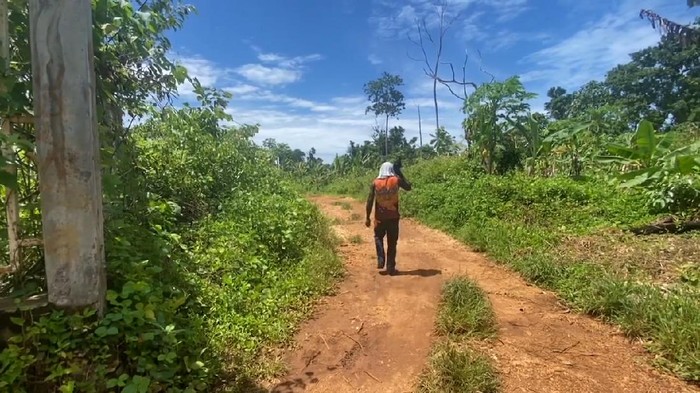 Jalan tikus Skouw-Wutung menjadi pembicaraan setelah Gubernur Papua, Lukas Enembe kedapatan masuk ke Papua Nugini secara ilegal melalui jalur itu. Salah satu warga mengaku hanya butuh 30 menit menuju Papua Nugini dengan menggunakan ojek.