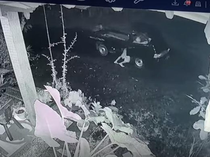 Maling mobil pikap di Jepara, Jawa Tengah, terekam kamera CCTV, Rabu (7/4/2021).