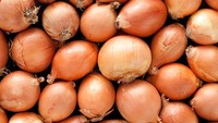 Bawang utuh hanya perlu disimpan di dapur, jauh dari kentang supaya tidak cepat busuk. Tak usah menyimpan bawang utuh di kulkas karena sia-sia.