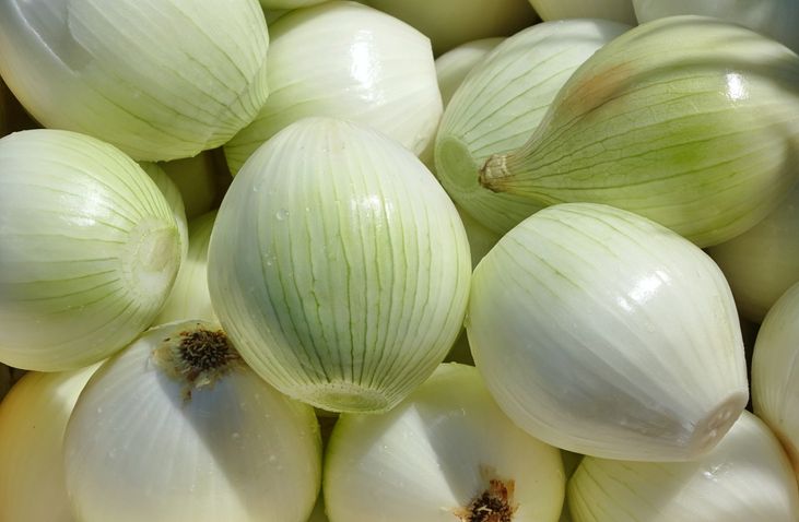 Cara Memilih dan Menyimpan Bawang Bombai Agar Awet Segarnya