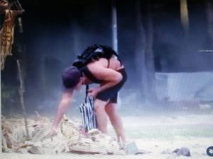 Viral Bule Mengais Makanan Sajen di Bali, Diburu Satpol PP
