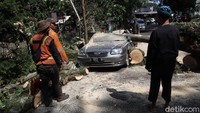 Selain pohon, papan penunjuk jalan pun ikut tumbang. Beruntung kejadian itu tak menimbulkan korban jiwa.