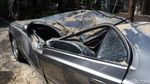 2 Mobil Ringsek Tertimpa Pohon Tumbang di Bandung