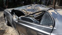 Sejauh ini belum diketahui penyebab pohon tersebut tumbang. Petugas masih melakukan evakuasi dengan memotong pohon.