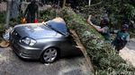 2 Mobil Ringsek Tertimpa Pohon Tumbang di Bandung