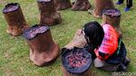 Bawa Bonggol Pohon, Aktivis Lingkungan Tolak Pengrusakan Hutan