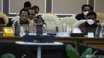 Mendagri dan Pansus DPR Bahas RUU Otonomi Khusus Papua