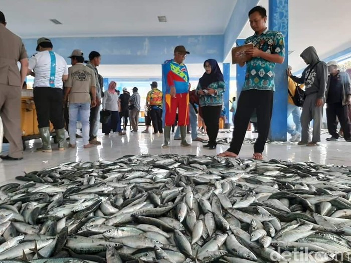 Pemkab Pangandaran membentuk tim terpada untuk meningkatkan retribusi hasil laut