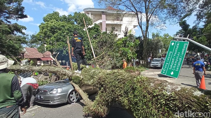 Pohon tumbang di Bandung.