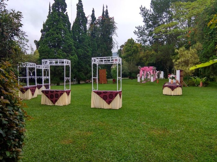 Viral pengantin yang ditipu vendor catering. Viral pengantin yang ditipu vendor catering.