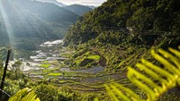 Selain Banaue Rice Terrace, ada juga sawah Batad Rice Terrace dan Bangaan Rice Terrace yang masih di satu lokasi, tetapi perlu diakui jika namanya tak seterkenal Banaue Rice Terrace.
