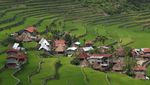 Foto Sawah Kuno yang Jadi Keajaiban UNESCO di Filipina