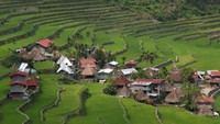 Banaue Rice Terrace juga ditetapkan oleh pemerintah Filipina sebagai  National Cultural Treasure, sesuai dengan Keputusan Presiden No. 260 tahun 1973.  