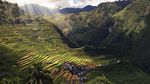 Foto Sawah Kuno yang Jadi Keajaiban UNESCO di Filipina