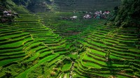 Sawah yang ada di Banaue juga diketahui sebagai yang tertua di dunia, dengan umurnya yang konon sudah mencapai 2.000 tahun.