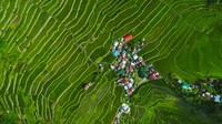 Lokasinya berada di Banaue, Provinsi Luzon.