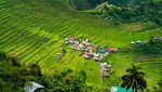 Foto Sawah Kuno yang Jadi Keajaiban UNESCO di Filipina