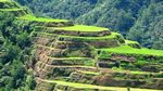 Foto Sawah Kuno yang Jadi Keajaiban UNESCO di Filipina