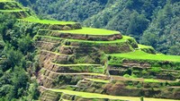 Sawah ini semakin populer setelah disebut-sebut sebagai tempat syuting Avengers Invinity War pada bagian saat Thanos menikmati sunset dengan view sawah. Indah, kan? (iStock)