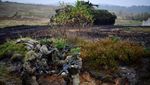 Begini Ketangguhan Panser Buatan Jerman