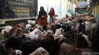 Lokasi SD yang hanya beberapa meter dari pasar membuat pedagang mengevakuasi kambing dilokasi tersebut.