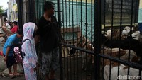 Warga membantu seorang anak yang akan masuk ke sekolah.