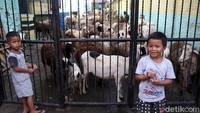 Pasar Kambing, Tanah Abang, terbakar pada pada Kamis (8/4) sekitar pukul 16.50 WIB.