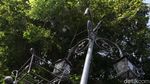Duh! PJU di Sekitar Balkot Bandung Rusak-rusak