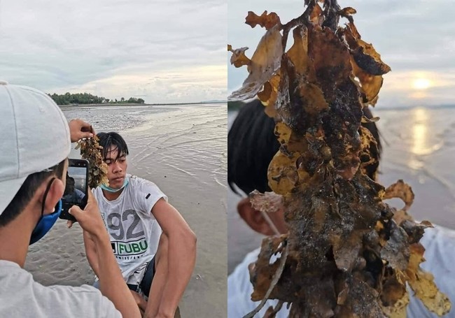 Maksud dan tujuan si tukang fotonya apa ya? Kalau gini kan kasian, modelnya udah cape-cape pose eh mukanya aja nggak kelihatan. Foto: Instagram/@awreceh.id