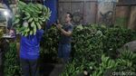 Jelang Ramadhan, Permintaan Pisang di Pasar Kramat Jati Meningkat