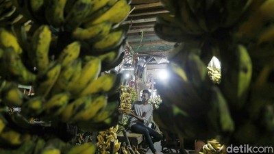 Jelang Ramadhan, Permintaan Pisang di Pasar Kramat Jati Meningkat