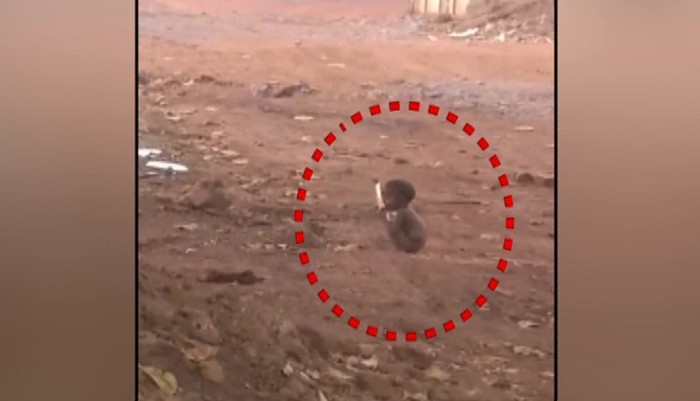 Miris! Kelaparan, Bocah Ini Jilati Piring Kotor dari Tempat Sampah