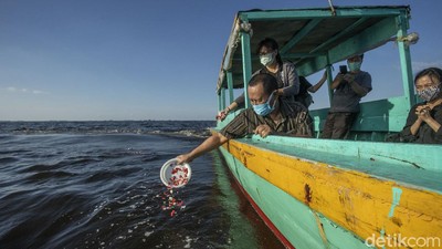 Momen Melepas Abu Jenazah di Laut Jakarta