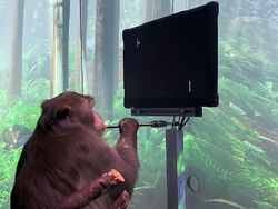 5 Perusahaan Elon Musk yang Dicemaskan Bikin Dia Kewalahan