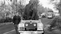 Ketangguhan mobil ini patut diacungi jempol. Tampak seekor gajah mengendarai Land Rover di sepanjang jalan selama pelatihan untuk pertunjukkan Natal di Inggris pada tahun 1959. Getty Images/Ron Case  