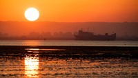 Pemandangan ditepian kanal terlihat indah kini telah banyak warga bermukim dan bertani disepanjang saluran itu . Getty Images/Mahmoud Khaled  