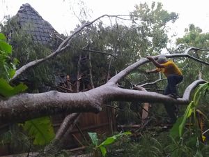 Puting Beliung Terjang Boyolali, Pepohonan Tumbang Timpa Rumah Warga
