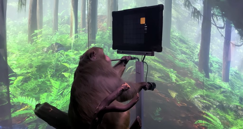 Seekor monyet memainkan game Pong hanya dengan menggunakan otaknya. (Tangkapan Layar youtube Neuralink)