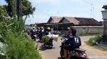 Suasana Terkini Kampung Miliarder di Tuban
