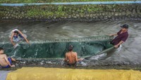 Sejumlah pengurus masjid atau mushalla dari berbagai daerah di Pekalongan mulai berbenah mencuci karpet mushalla di sungai.  