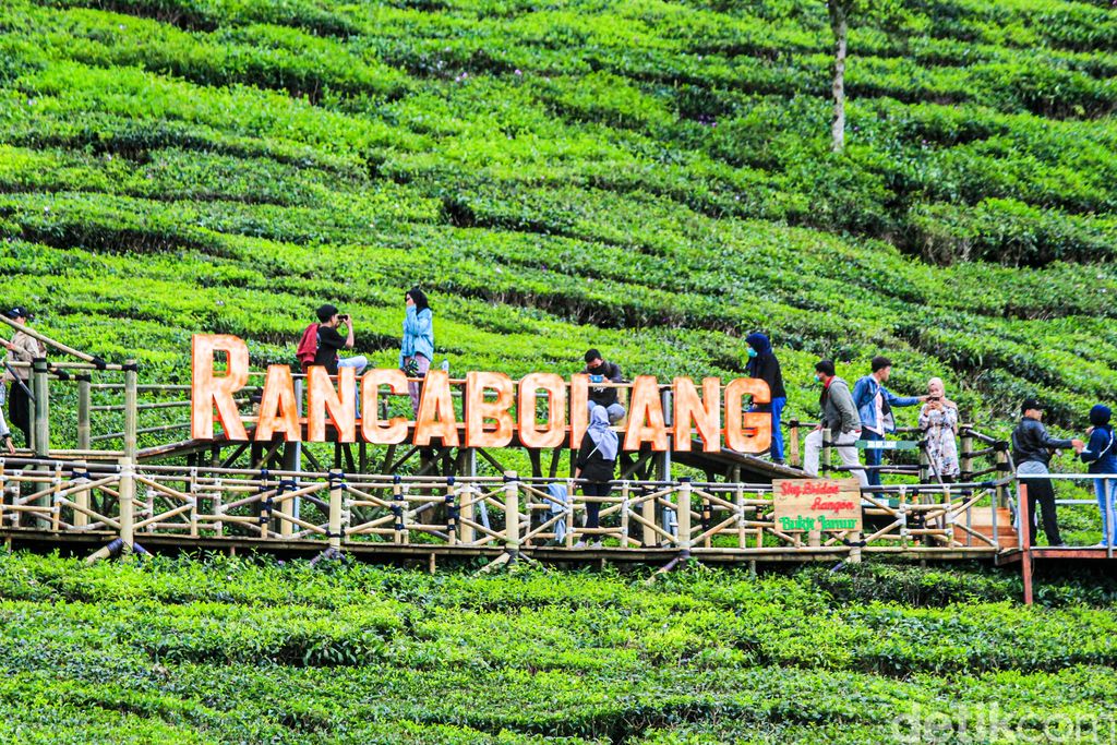 Bukit Jamur Rancabolang di Bandung Selatan