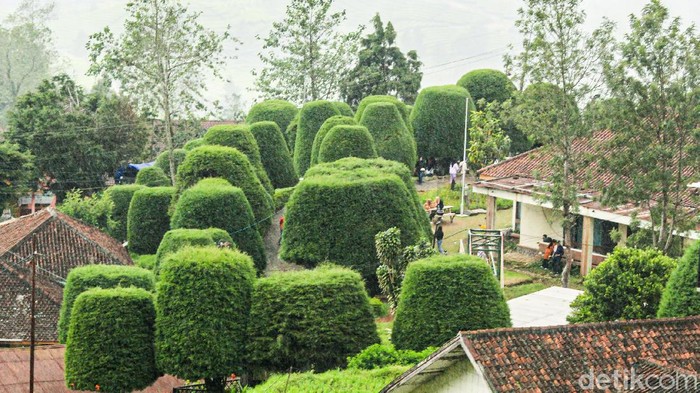 Bukit Jamur Rancabolang di Bandung Selatan