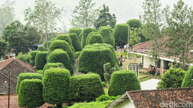 Bukit Jamur Rancabolang di Bandung Selatan