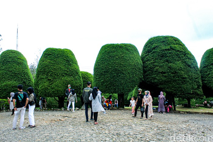 Bukit Jamur Rancabolang di Bandung Selatan