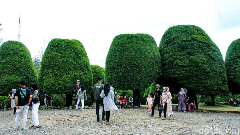 Bukit Jamur Rancabolang di Bandung Selatan Bukit Jamur Rancabolang di Bandung Selatan