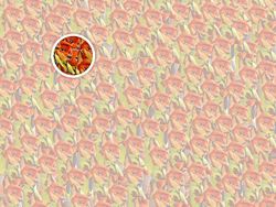 Uji Kecepatan Mata Dengan Mencari Karakter Kartun Tersembunyi